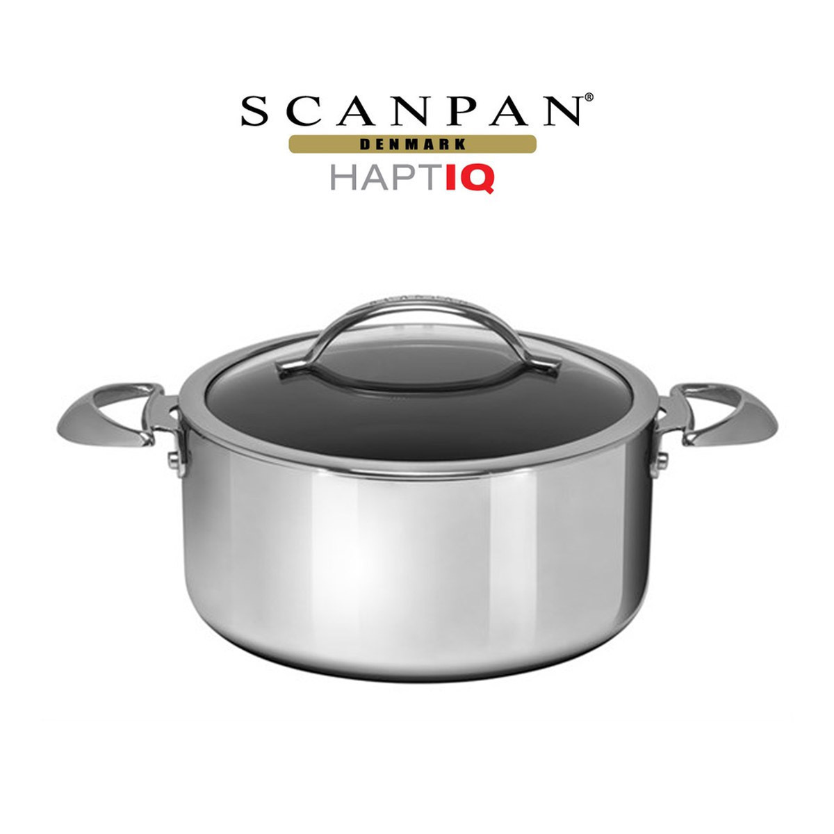 SCANPAN -HAPTIQ系列 24cm / 4.8L 不銹鋼易潔雙耳煲 (電磁爐適用) -6001252400