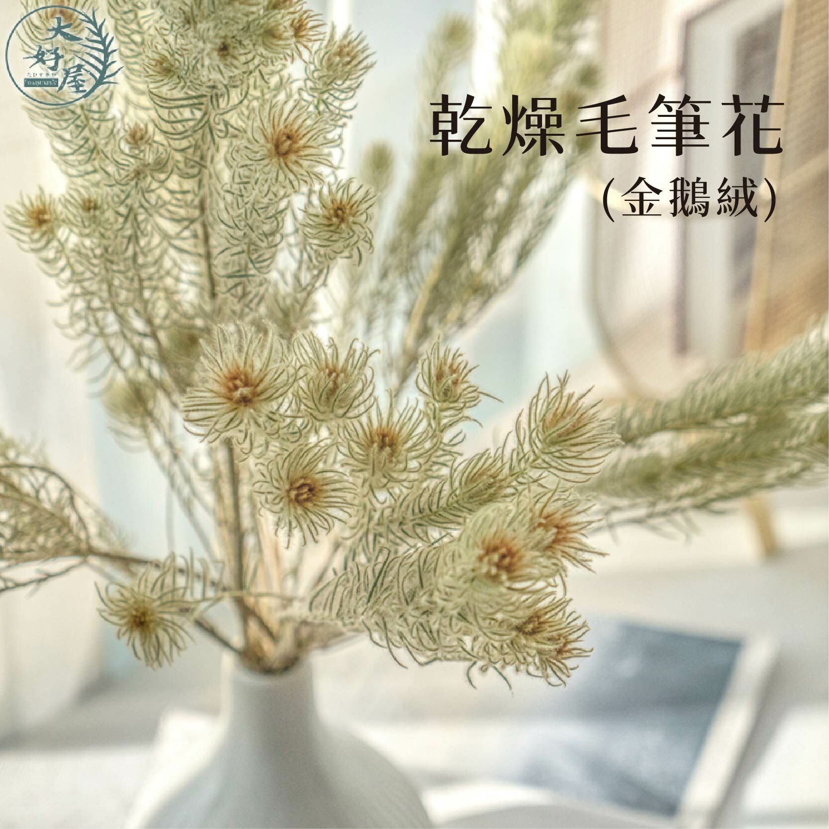 乾燥毛筆花 (金鵝絨)