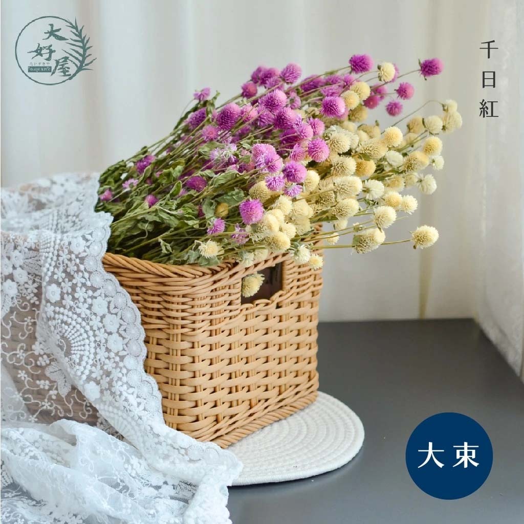 乾燥千日紅【大束】