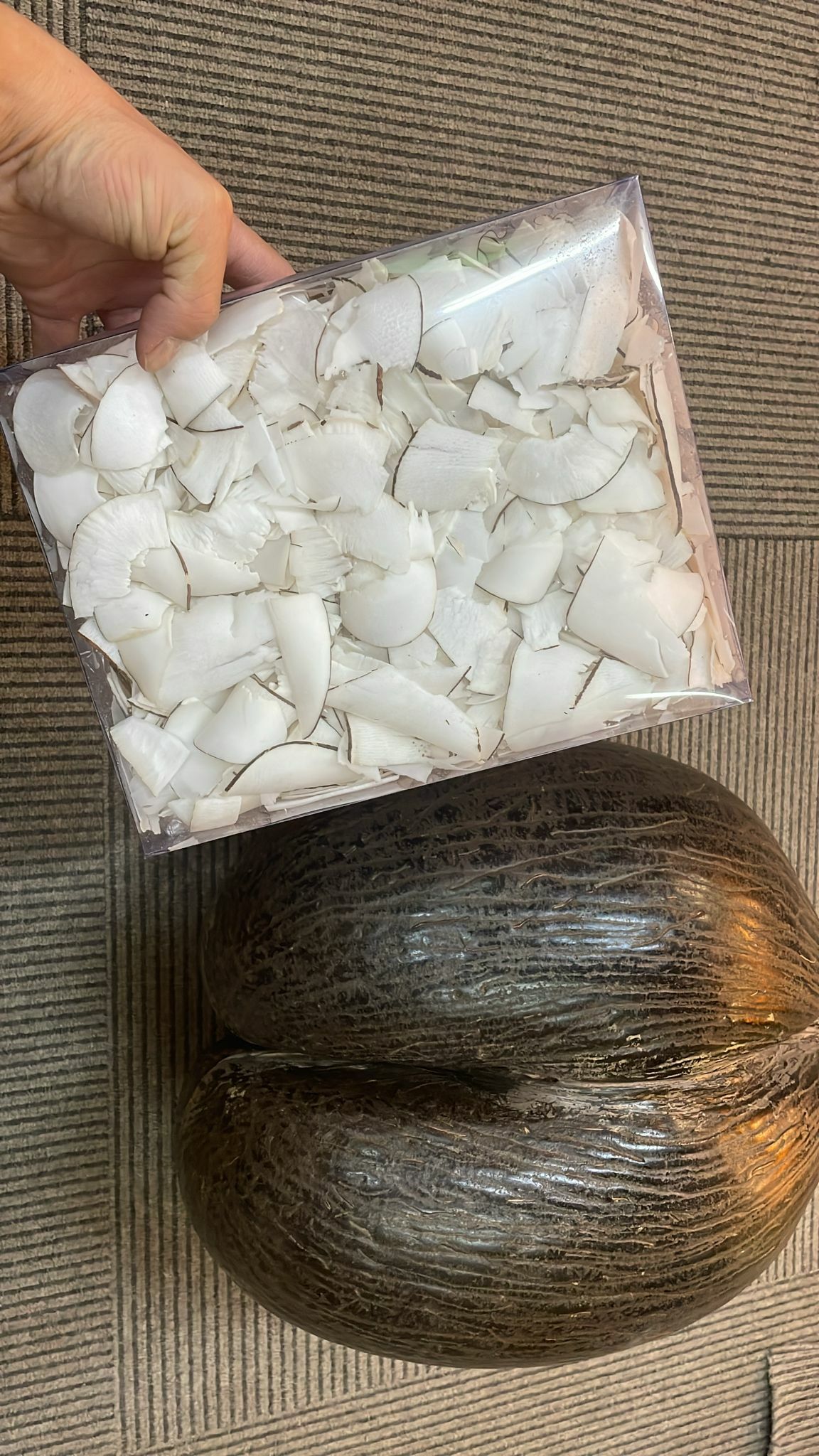 (2319)正非洲海底椰片中片一盒裝