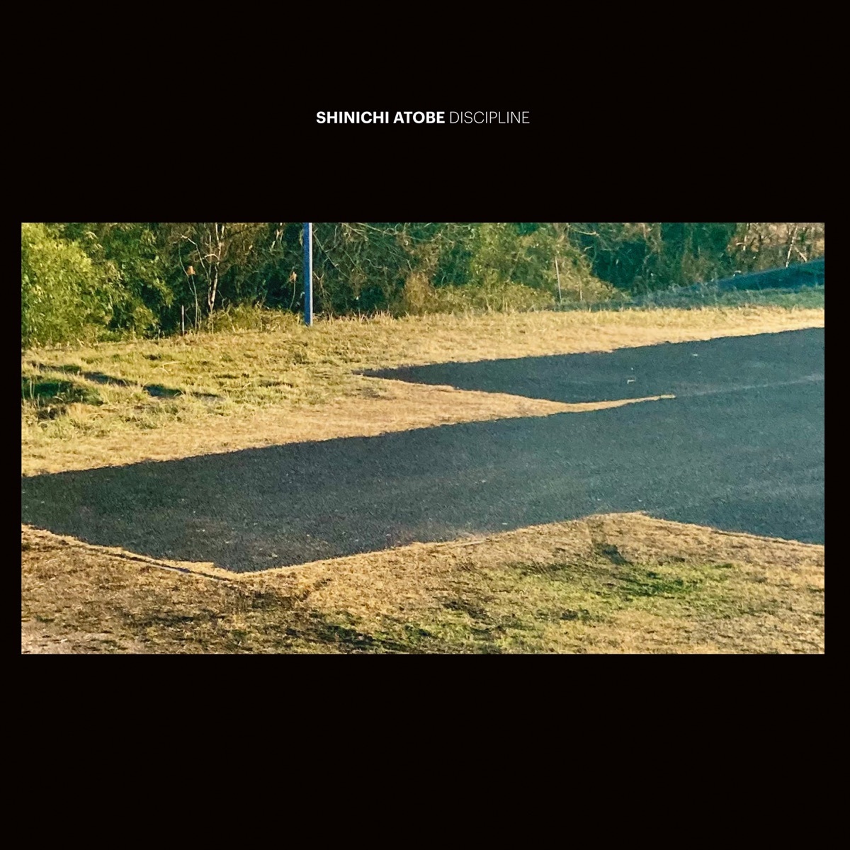 Shinichi Atobe《Discipline》（2LP）