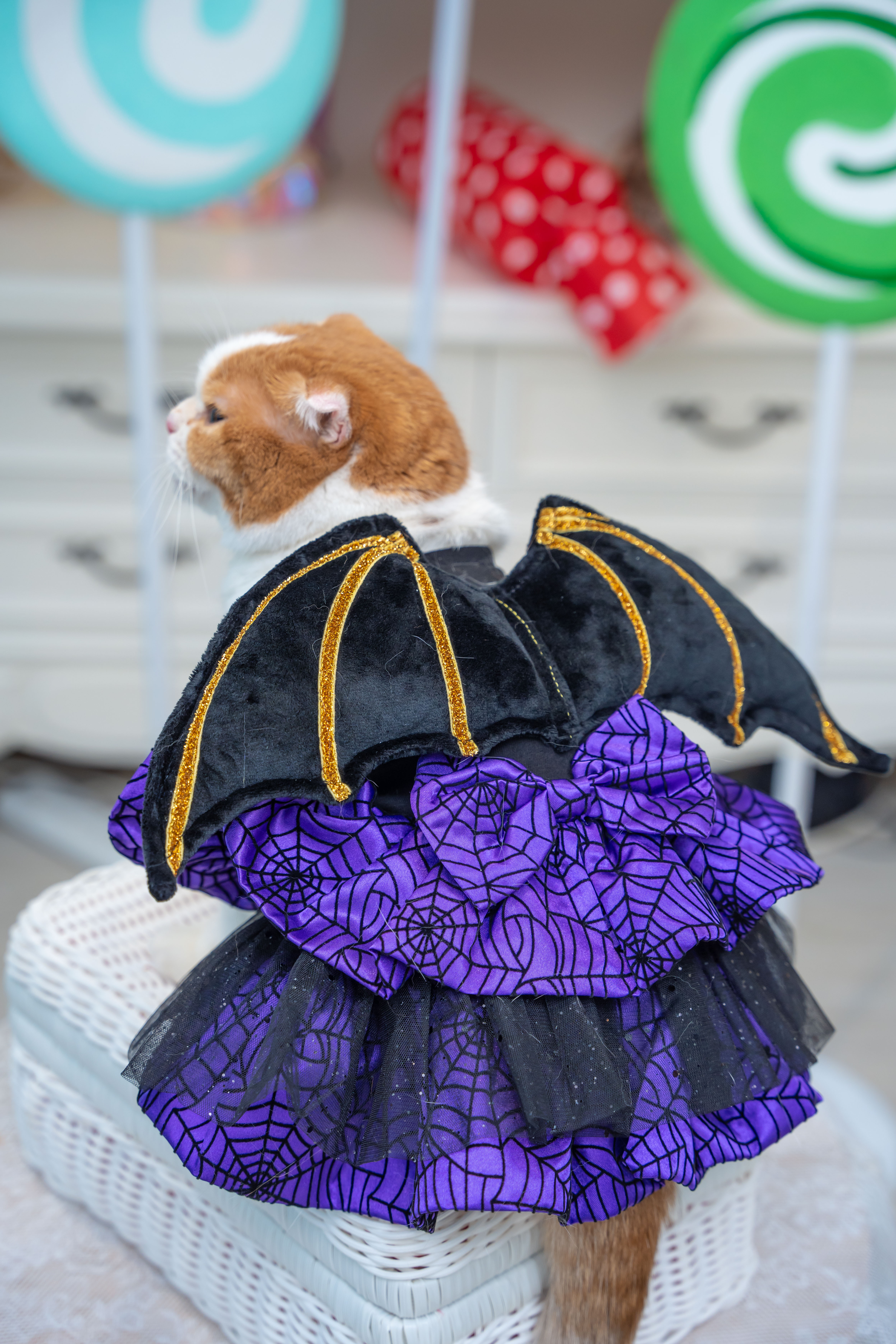 Bat Wings Purple Dress