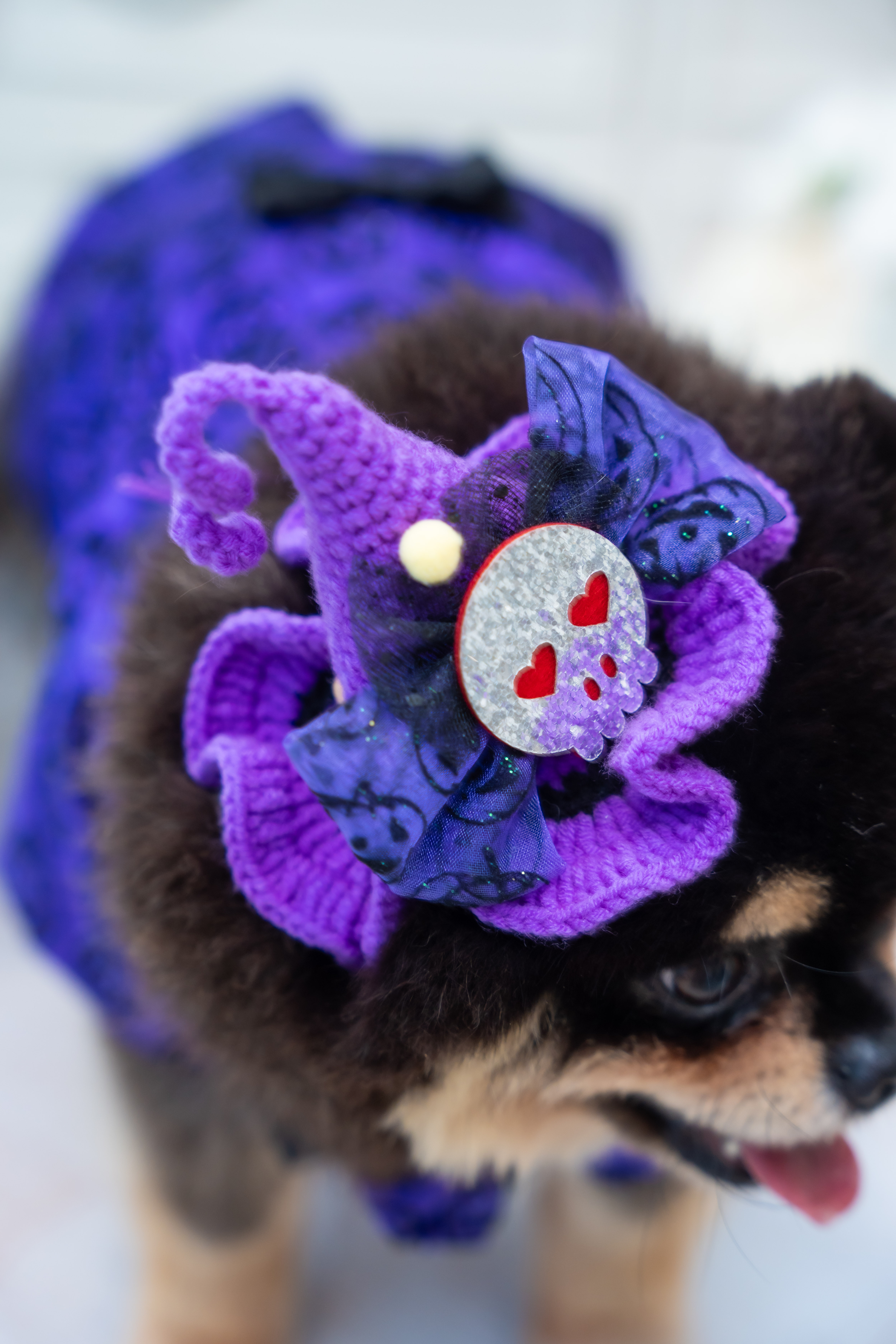 Classic Noble Purple Halloween Tailcoat