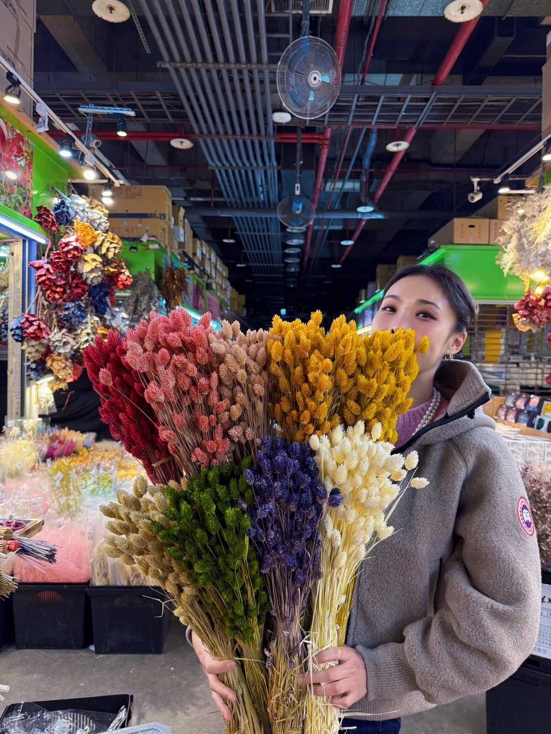 乾燥加那利 (荷蘭)