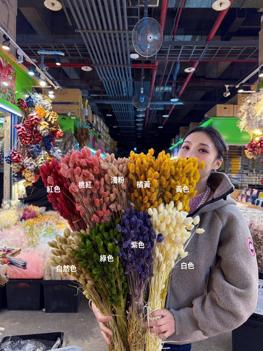 乾燥加那利 (荷蘭)