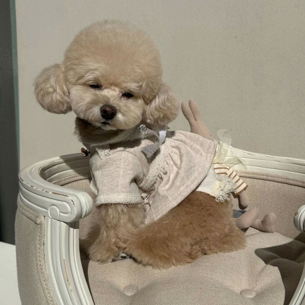 Cozy-N Breeze 荷葉邊連帽衫