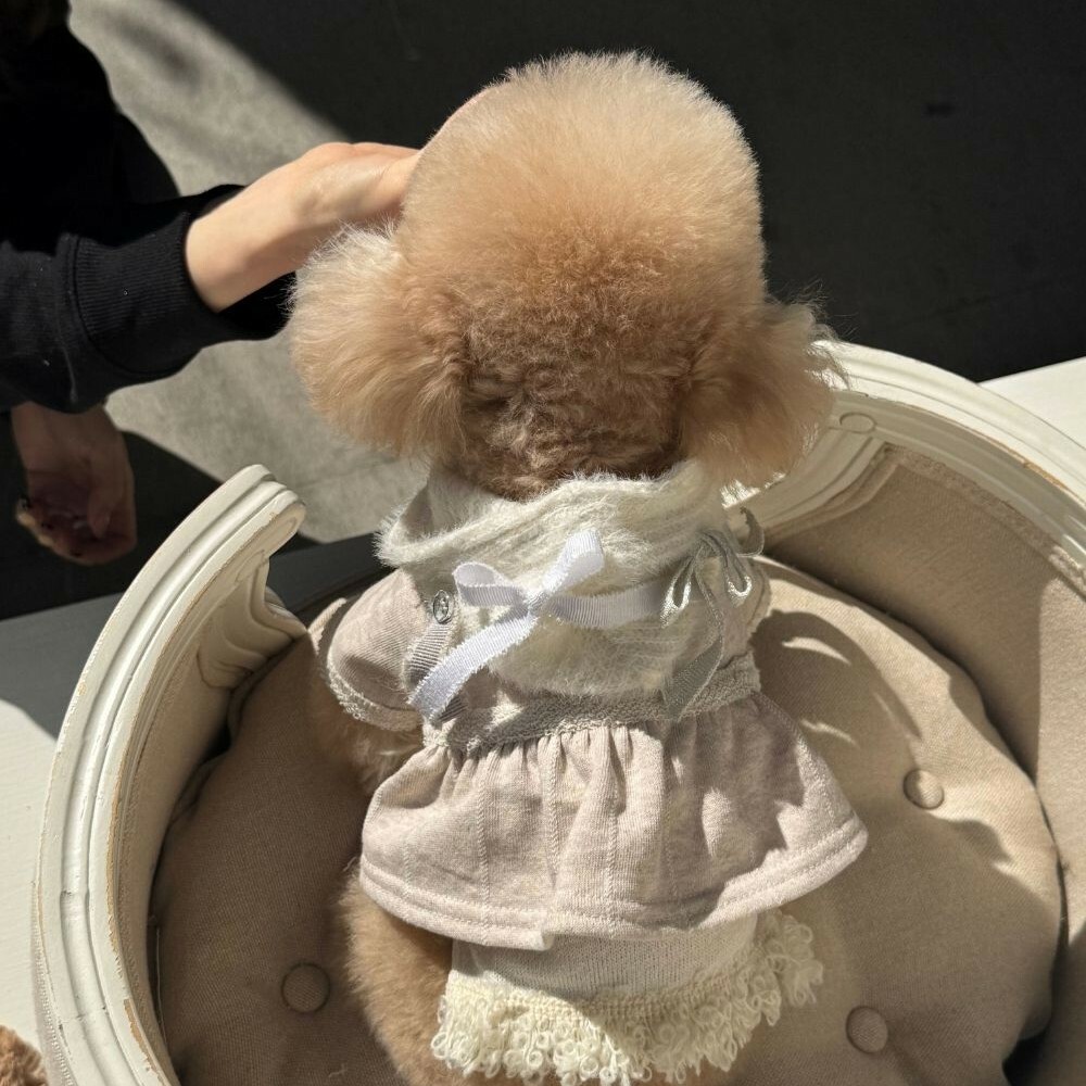 Cozy-N Breeze 荷葉邊連帽衫