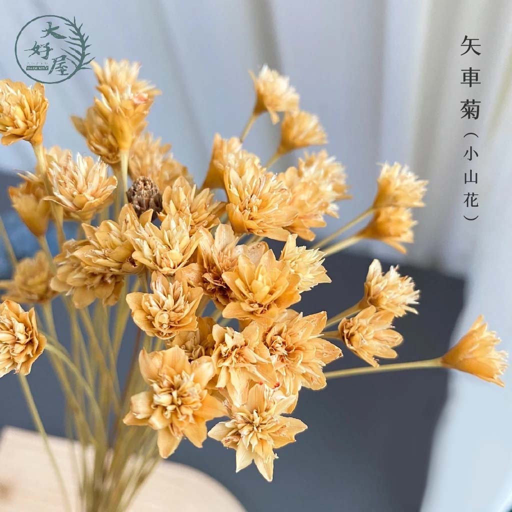 乾燥 永生 小山花【大】