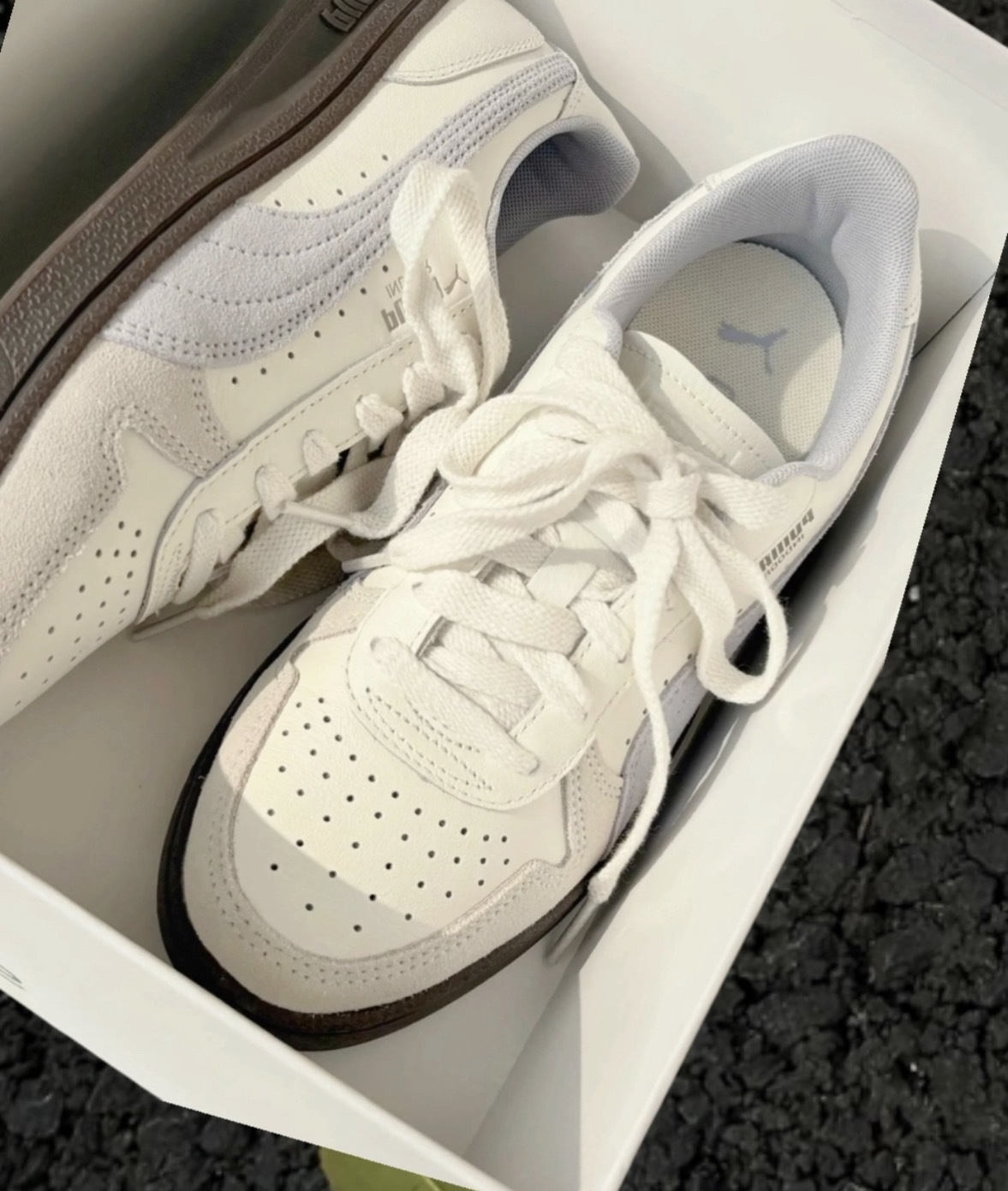 預購 Puma indoor 奶油薰衣草