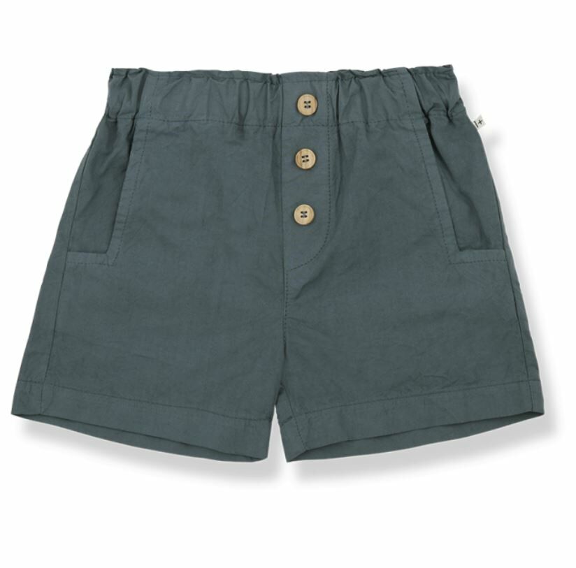 1+ in the family 休閒短褲 INAKI petroleum