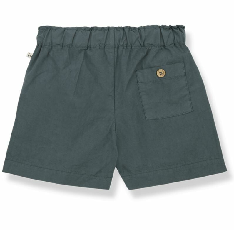 1+ in the family 休閒短褲 INAKI petroleum