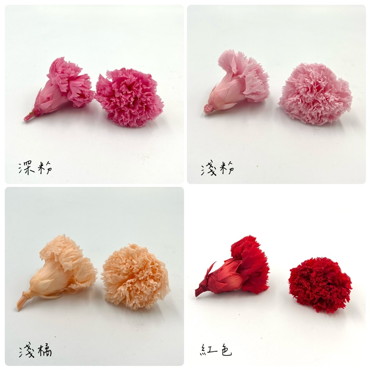 不凋康乃馨(8朵)