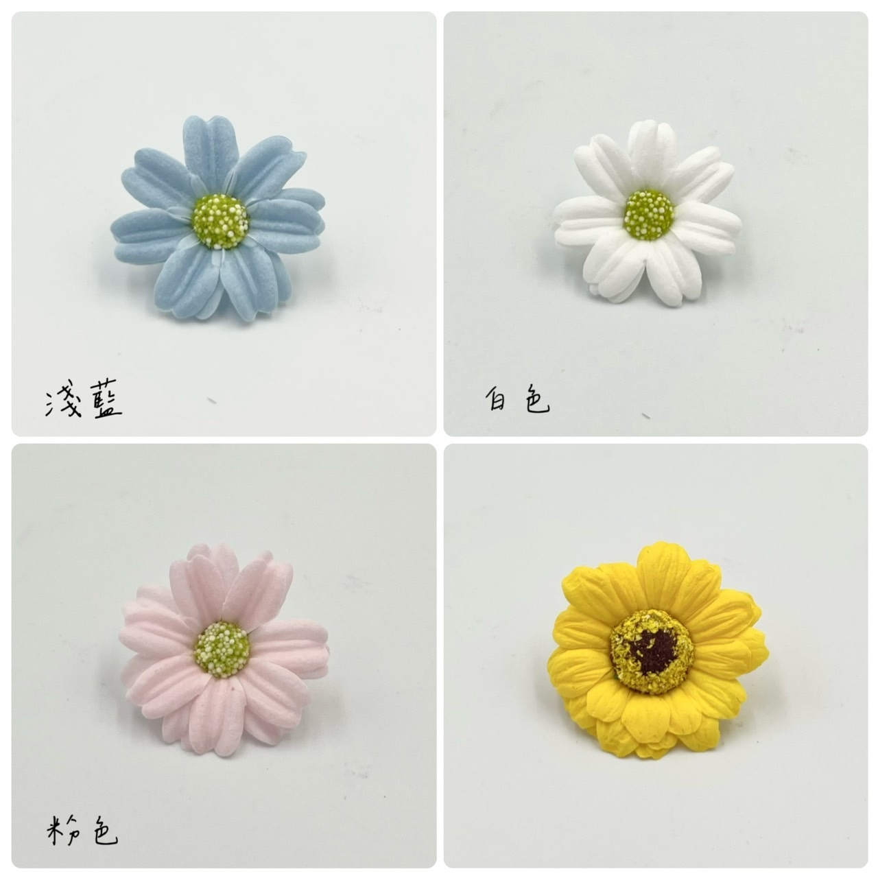 百日草肥皂花 (50入)