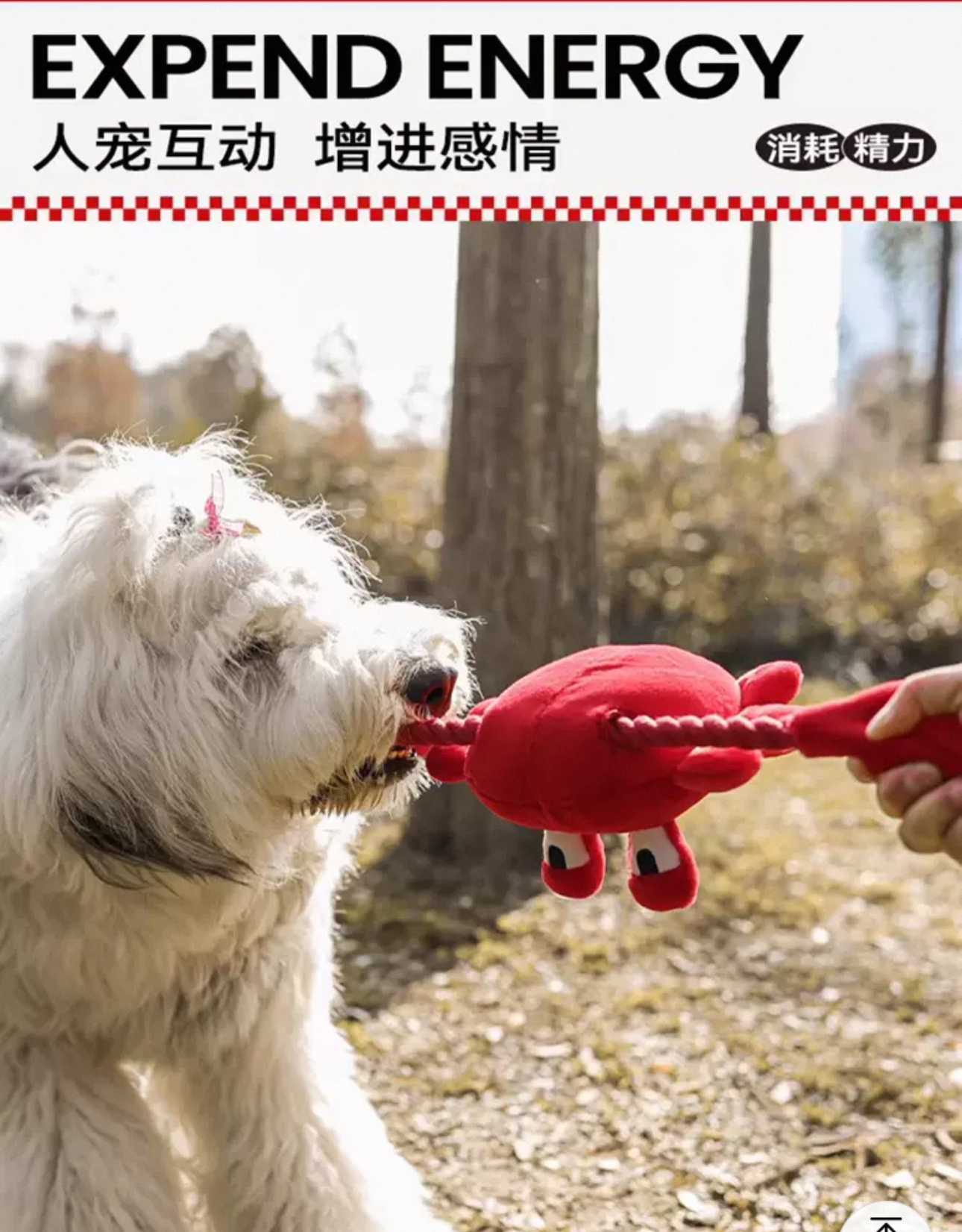 Q-MONSTER 红螃蟹 毛绒发声玩具 51cm x 51cm