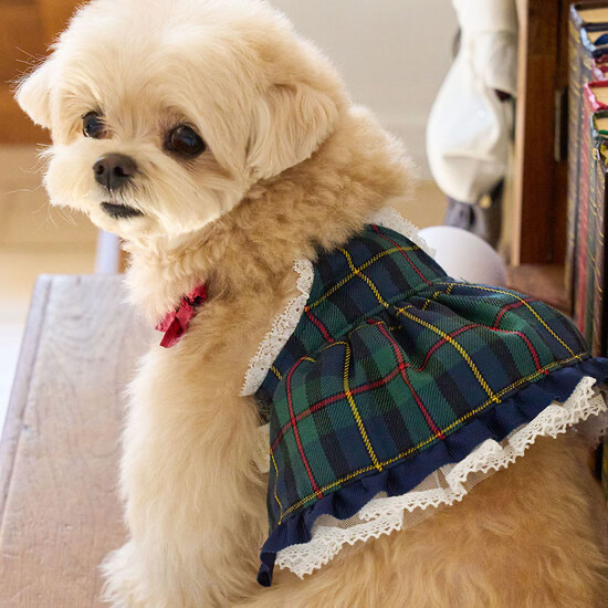 學院風Preppy Bustier肩帶洋裝裙（綠格) - it’s sunny outside