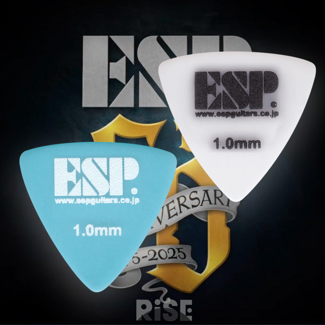 ESP PD-PS10 (H) 1.0mm Pick 大三角 研磨止滑 彈片