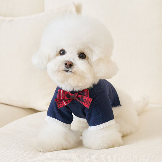 學院風開襟衫-海軍藍Navy   It’s sunny outside