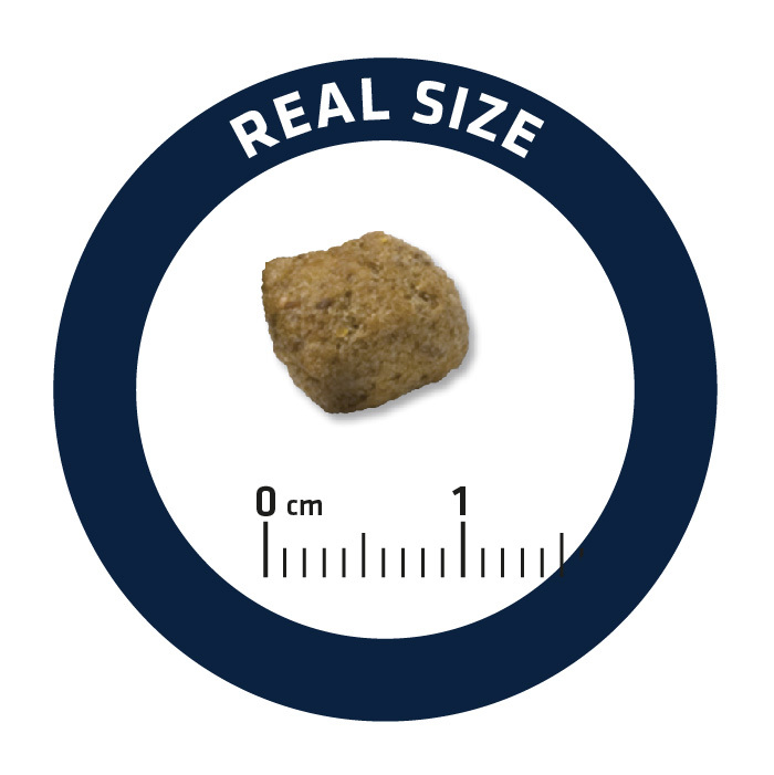 ADVANCE |處方狗糧(糖尿病專用)