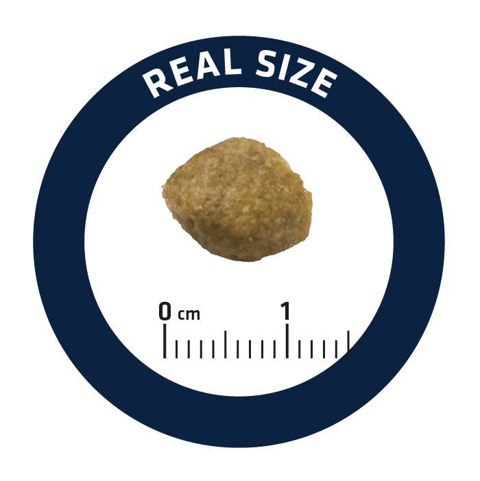 ADVANCE |處方狗糧(泌尿專用)