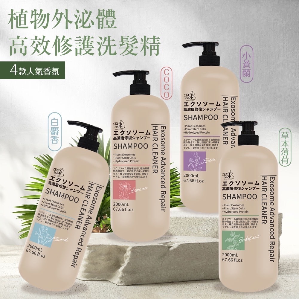 專業沙龍美髮天然洗髮精升級版2000ml 植物外泌體