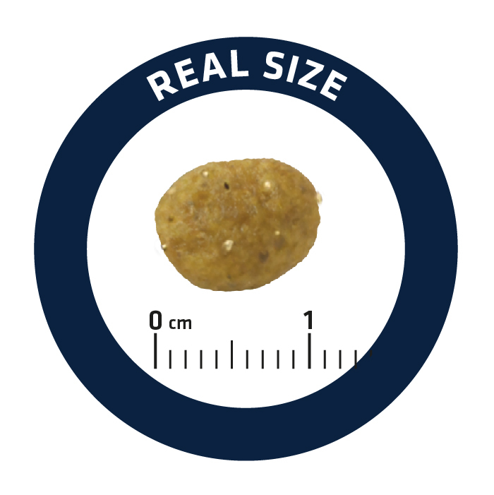 ADVANCE |處方貓糧(腸胃專用)