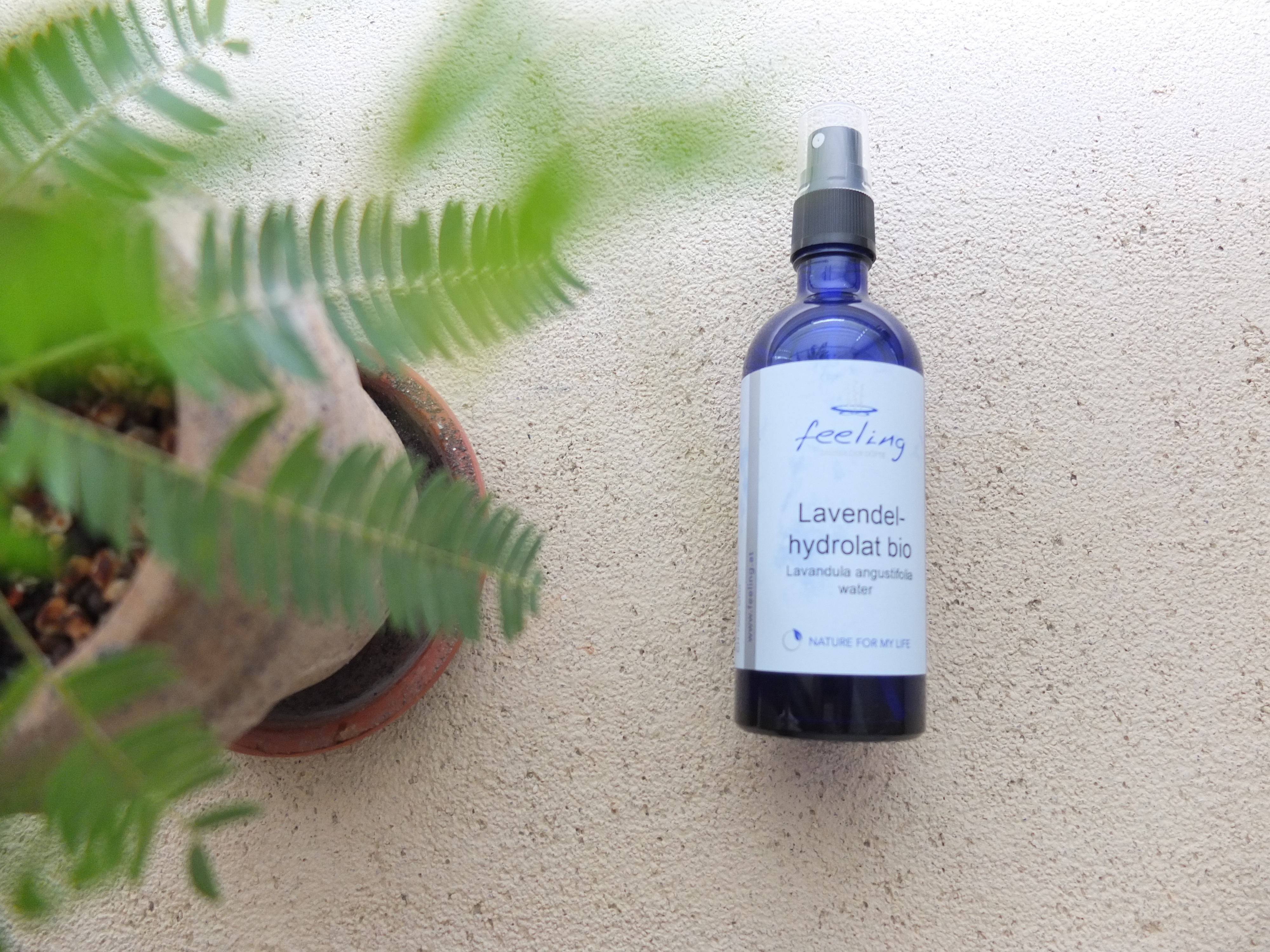 純露 | 有機真正薰衣草純露 Lavendelhydrolat bio