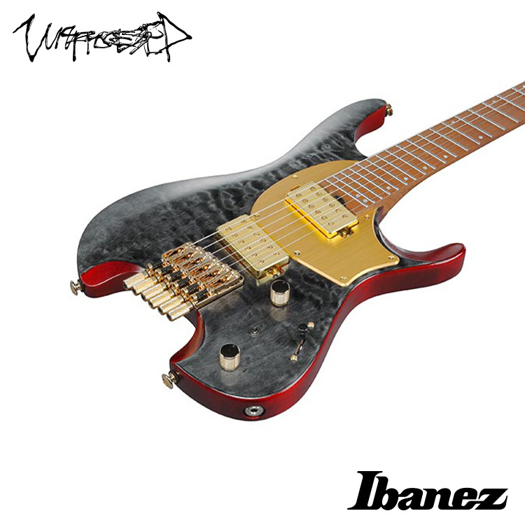 Manuel Gardner Fernandes 簽名款 Ibanez MGFM10 電吉他