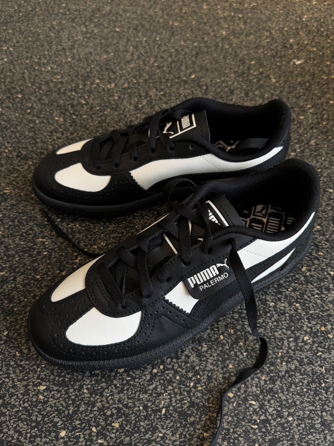 PUMA PALERMO 經典黑白 399684-02