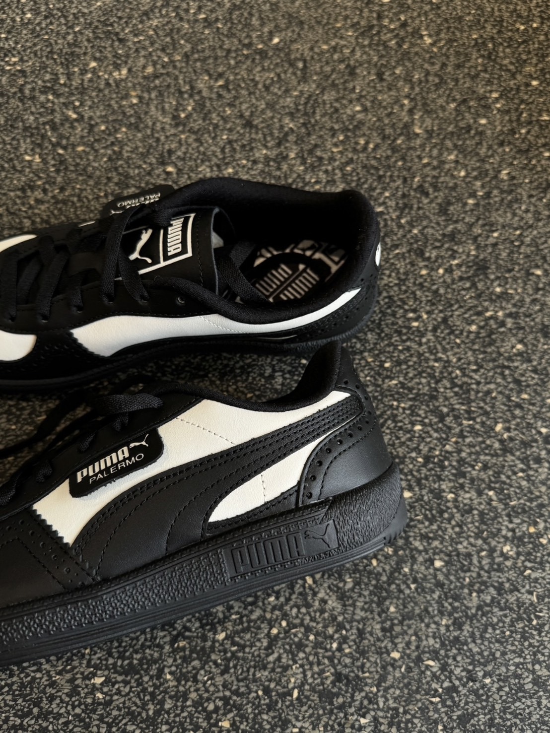 PUMA PALERMO 經典黑白 399684-02