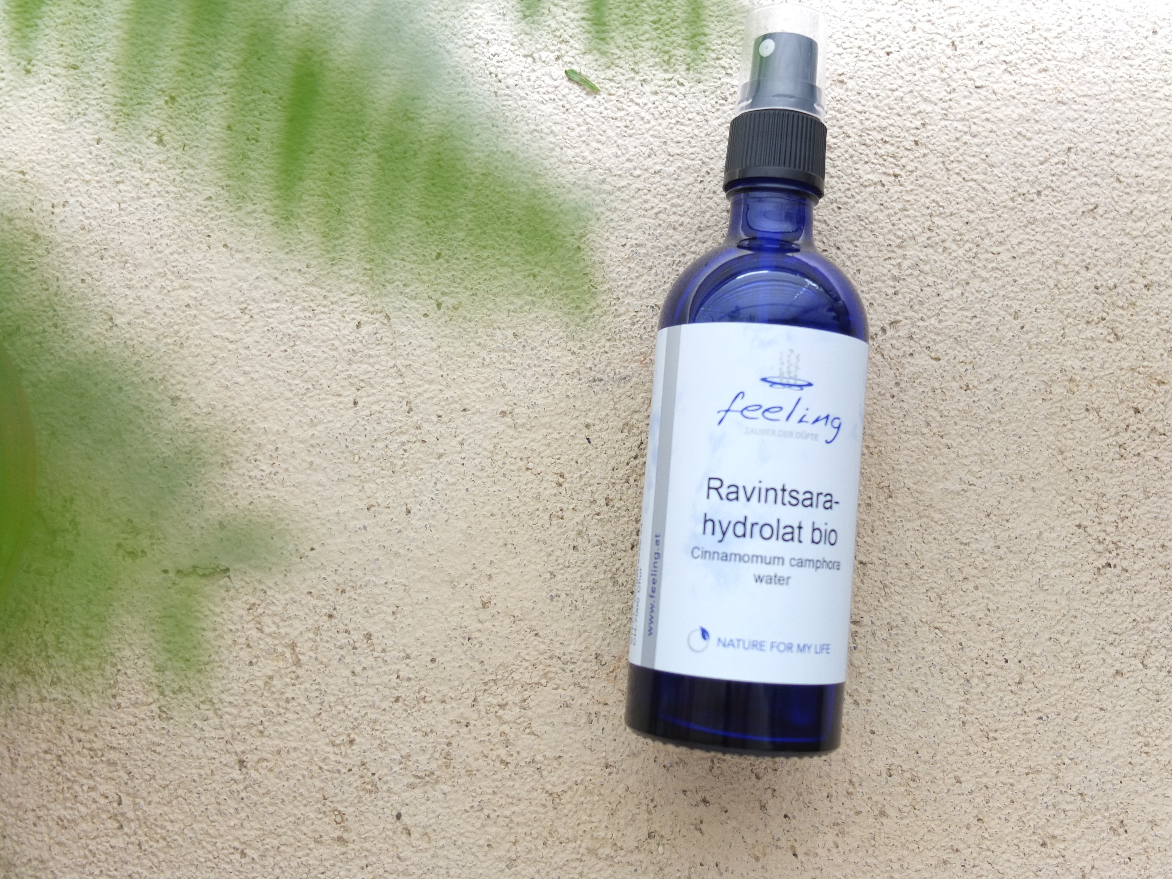 純露 | 有機桉油樟純露 Ravintsarahydrolat bio