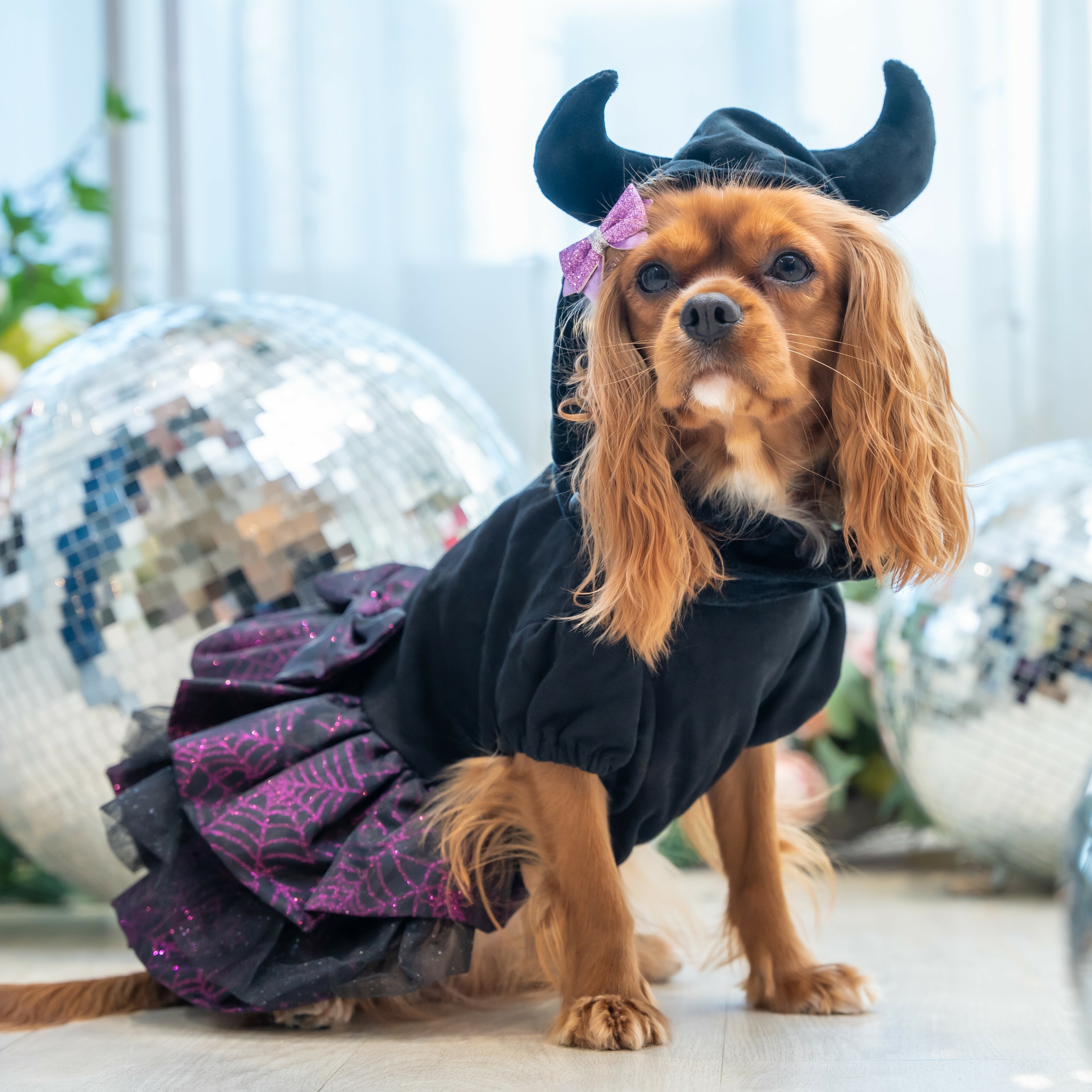 Devil Horn Hat Glitter Dress