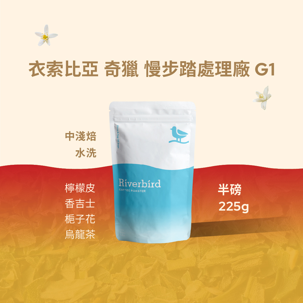 【Riverbird】《225g》衣索比亞 奇獵 慢步踏處理廠G1 中淺焙