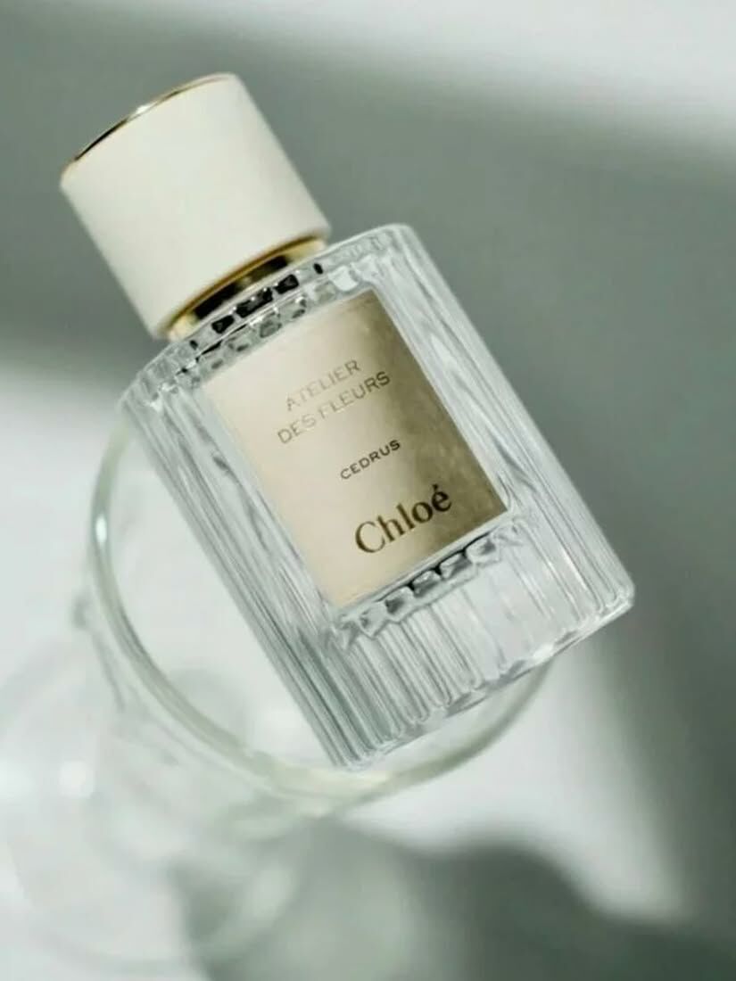 【 預購 】CHLOE 蔻依仙境花園系列淡香 北國雪松 50ml 專櫃