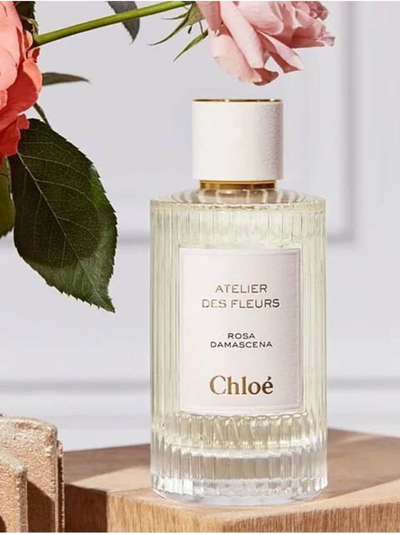 【 預購 】CHLOE 蔻依仙境花園系列淡香 北國雪松 50ml 專櫃