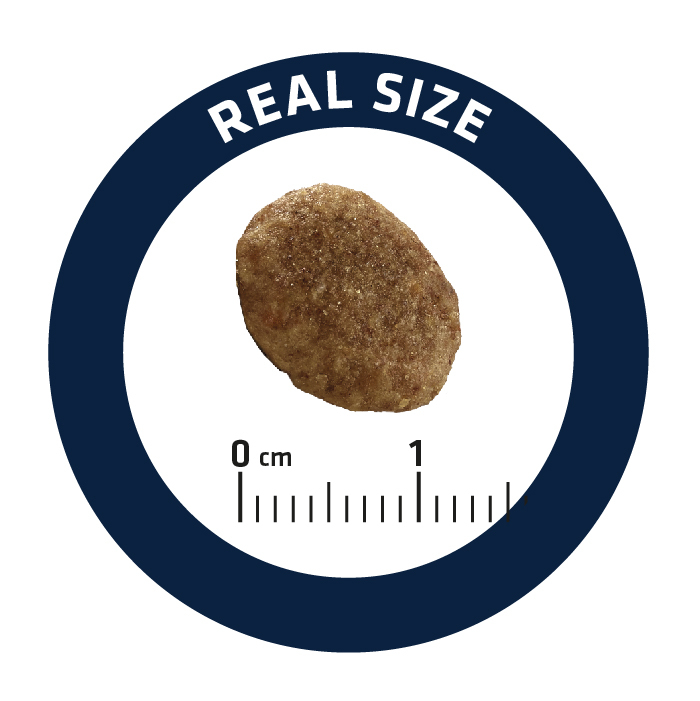 ADVANCE |處方貓糧 (泌尿專用)