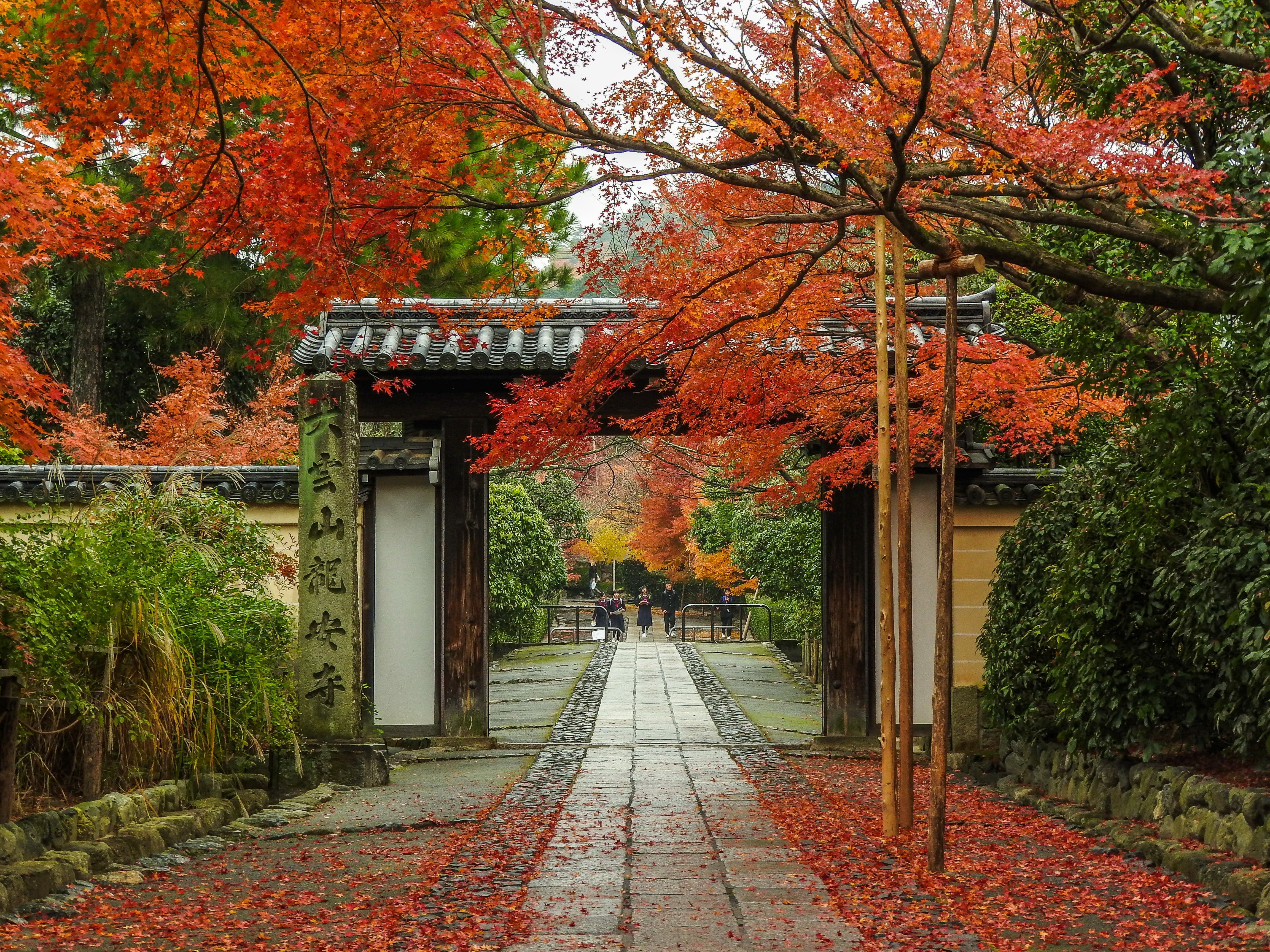 Autumn Kyoto-Osaka – Traditional Tea Ceremony, Hot Springs, Kyoto Heritage, Osaka Nightlife 5 Days