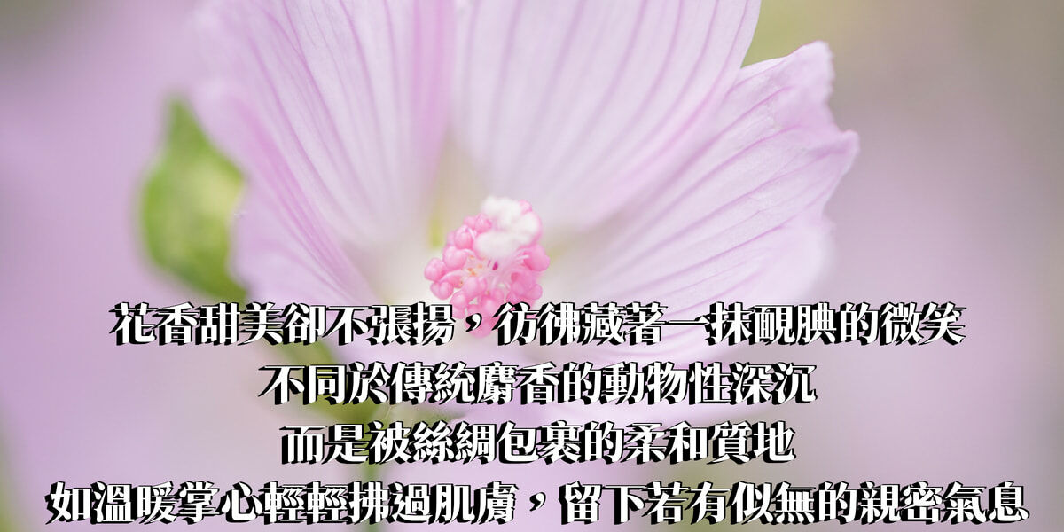 白麝香精油香水10ml【ISTJ命定香】