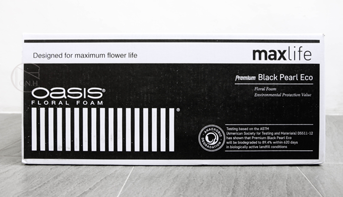 OASIS 珍珠環保海綿