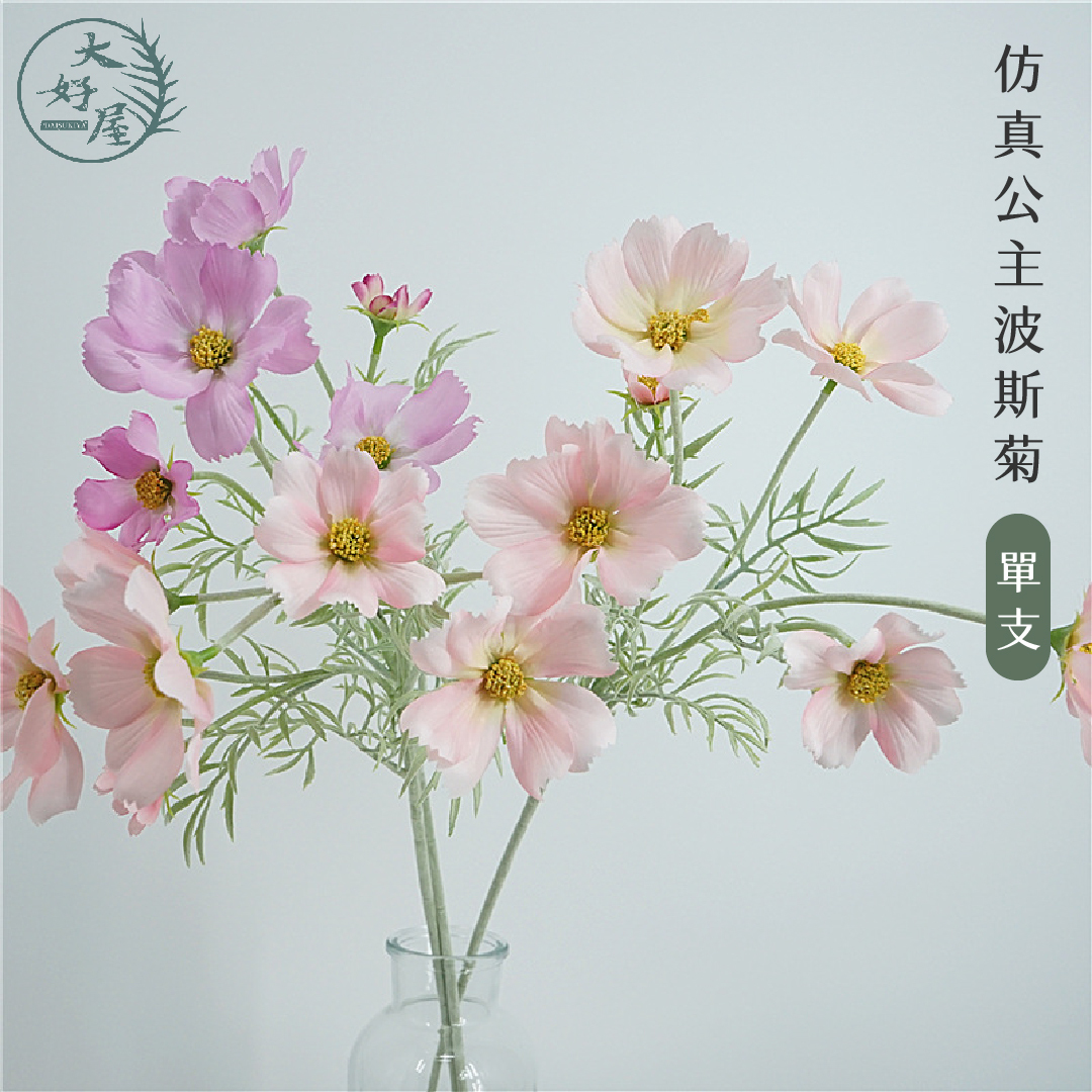 仿真公主波斯菊_售完不入