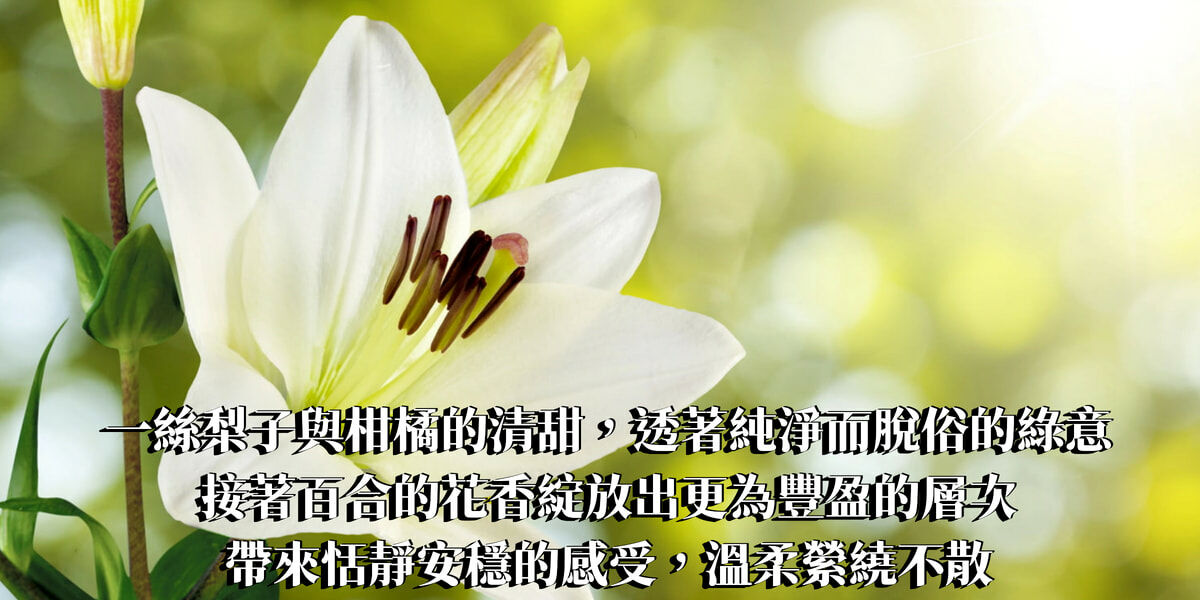 印度百合精油香水10ml【ESTJ命定香】