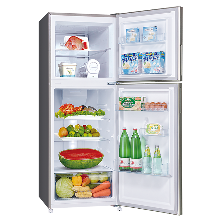 SANLUX 台灣三洋 210L 一級能效變頻雙門電冰箱(SR-C210BV1A)