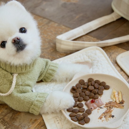 ba&ttang X Tteokguknuna 溫馨小熊餐盤