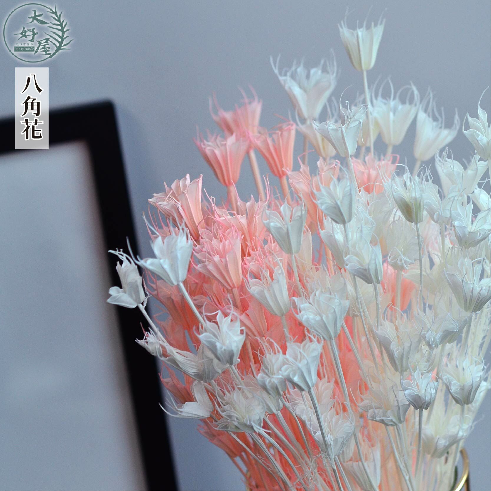 永生八角花【大束裝】(木百合)