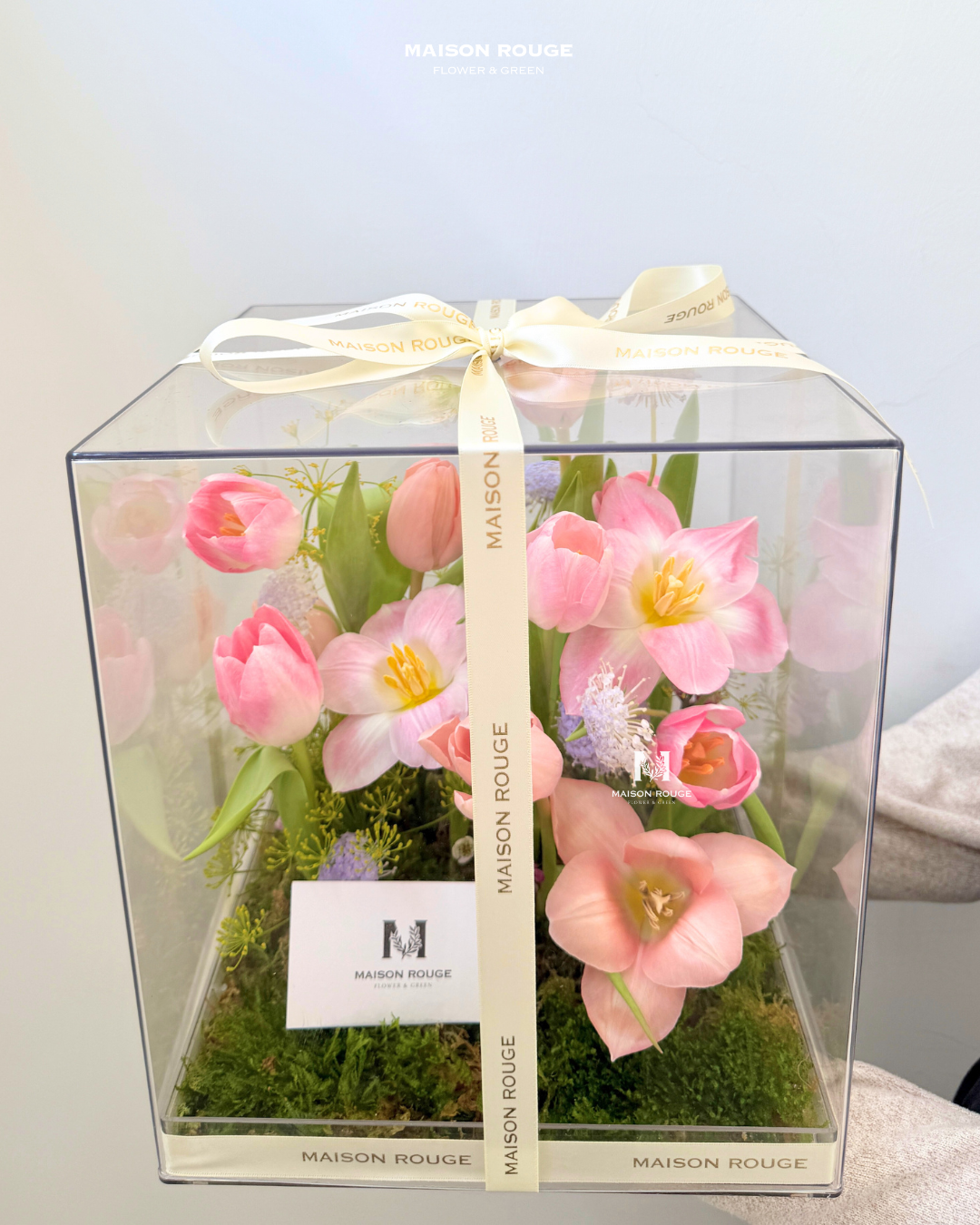 貳樓有花・鬱金香花園