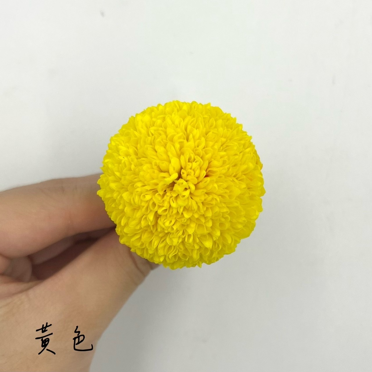 不凋乒乓菊8/10朵