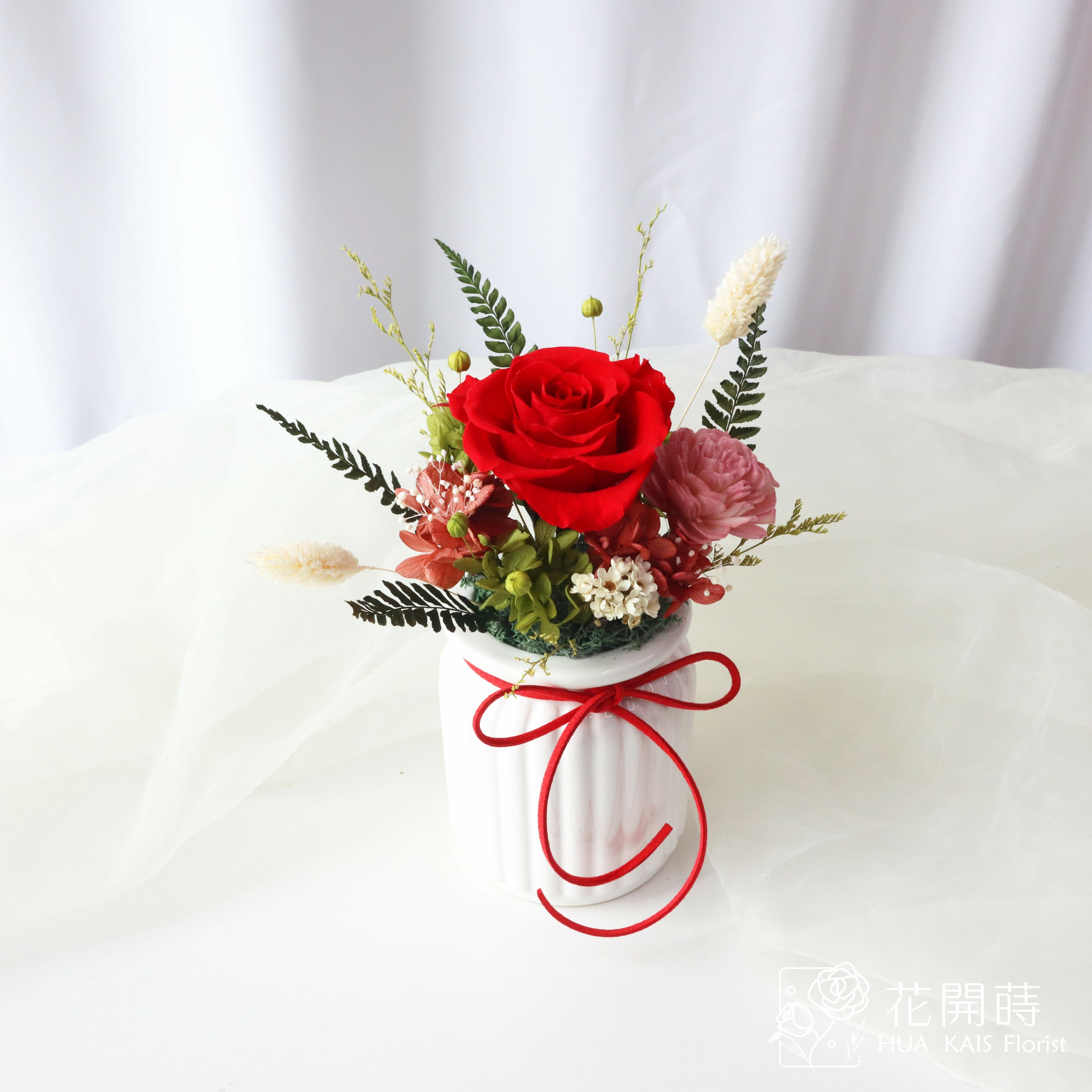 永生玫瑰小桌花|叢林紅牛奶瓶|開幕小盆栽|生日禮物|辦公桌小盆花