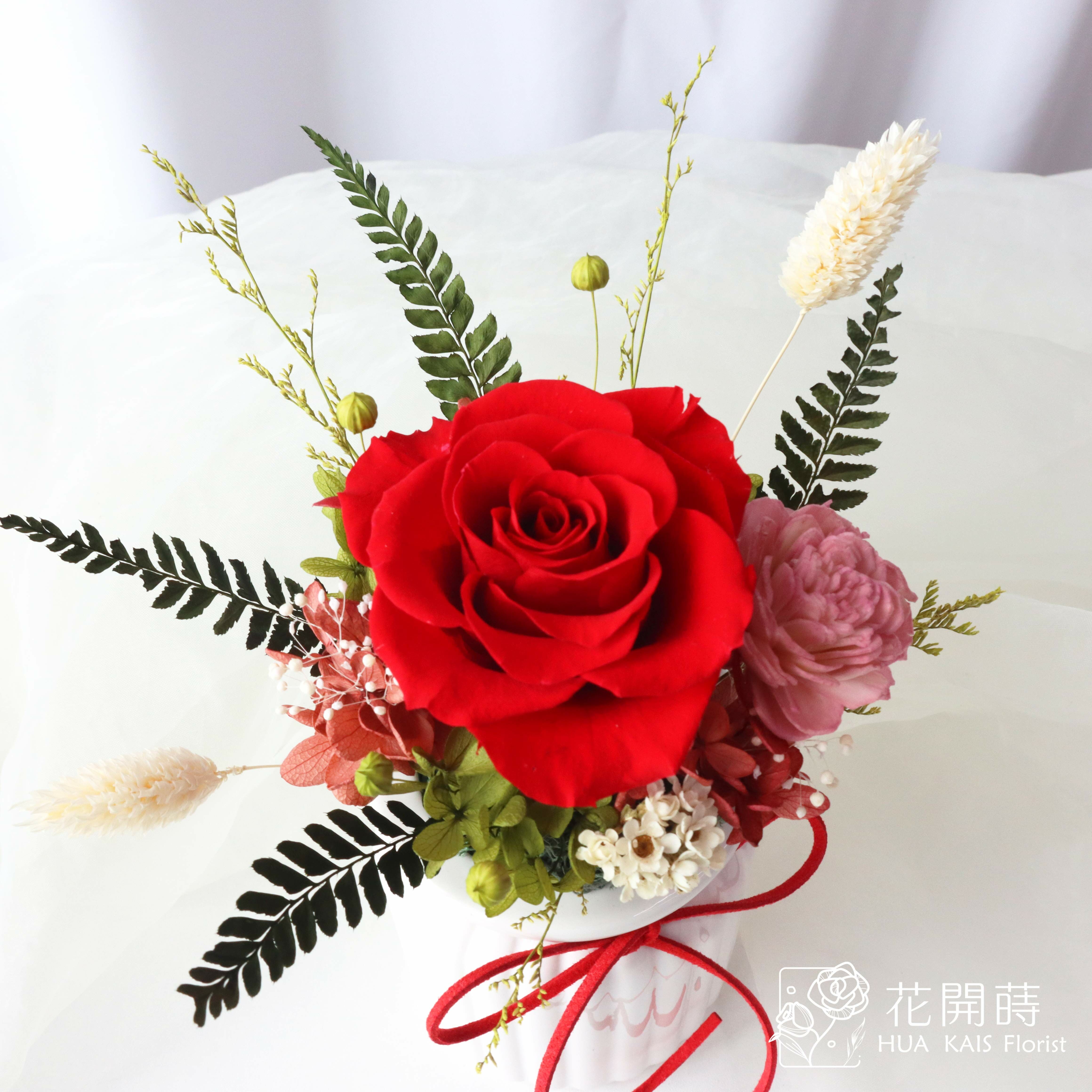 永生玫瑰小桌花|叢林紅牛奶瓶|開幕小盆栽|生日禮物|辦公桌小盆花