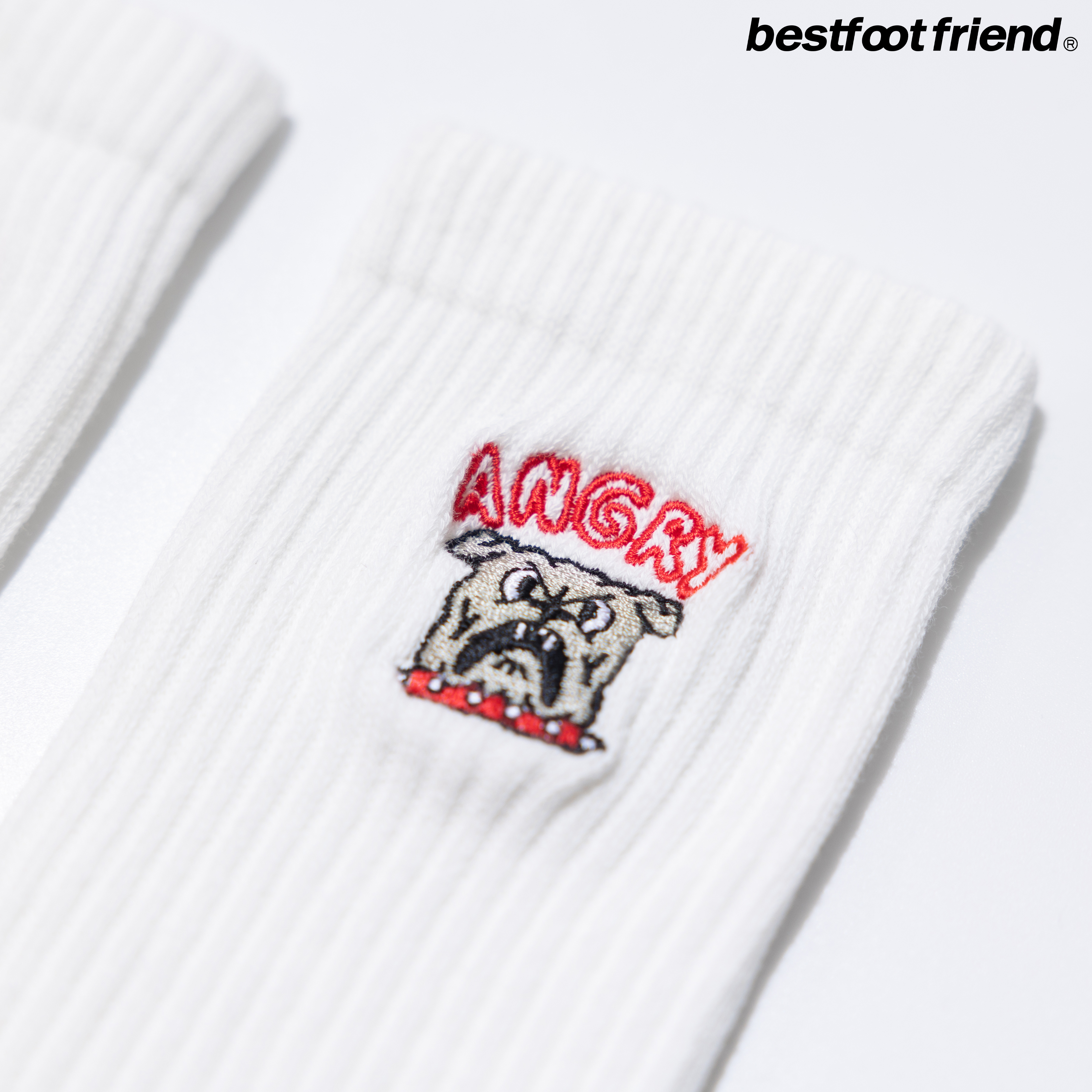 Best Foot Friend Angry Puppy