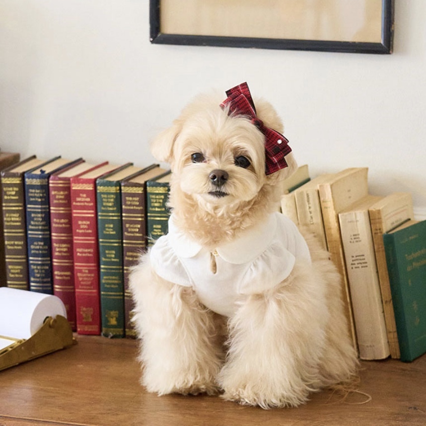 經典荷葉Polo衫-It’s sunny outside