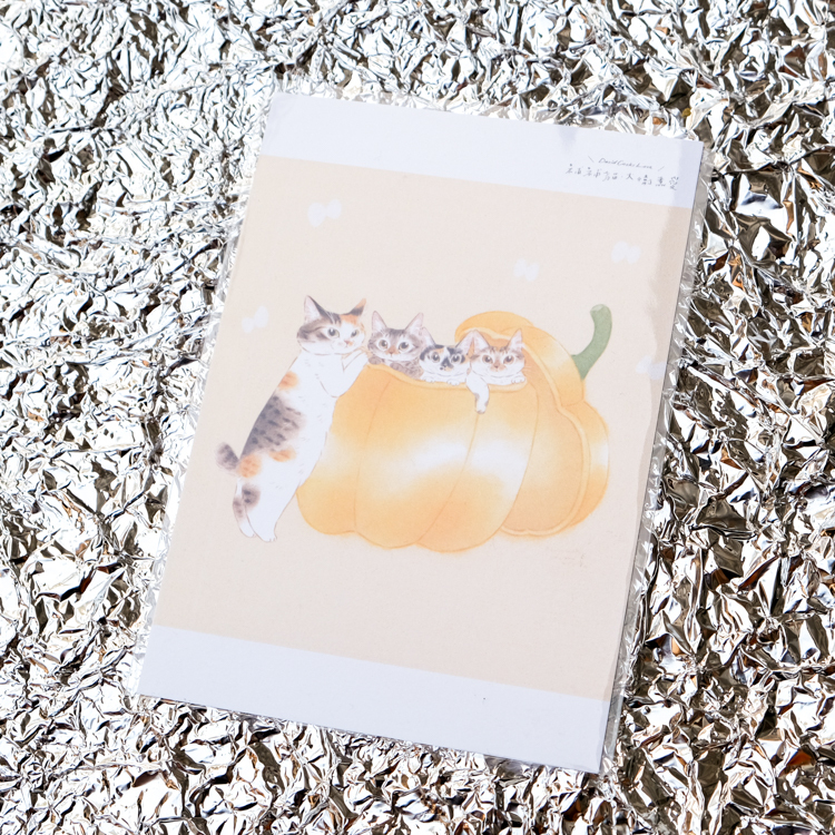 補補貓‧大衛煮愛｜明信片｜金屋藏椒